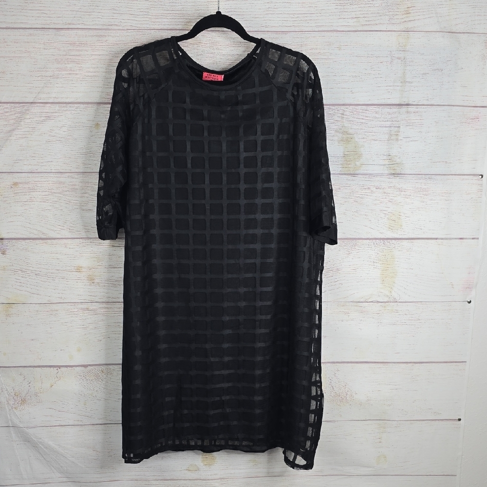 Elegant Black Sheer Dress